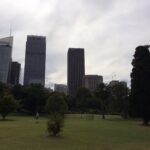 Brisbane CBD skyline viewed from the City Botanic Gardens, with AMP Place tower rising above trees and lawn in the foreground.