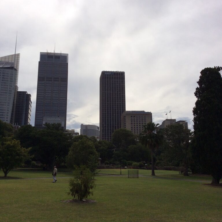 Brisbane CBD skyline viewed from the City Botanic Gardens, with AMP Place tower rising above trees and lawn in the foreground.